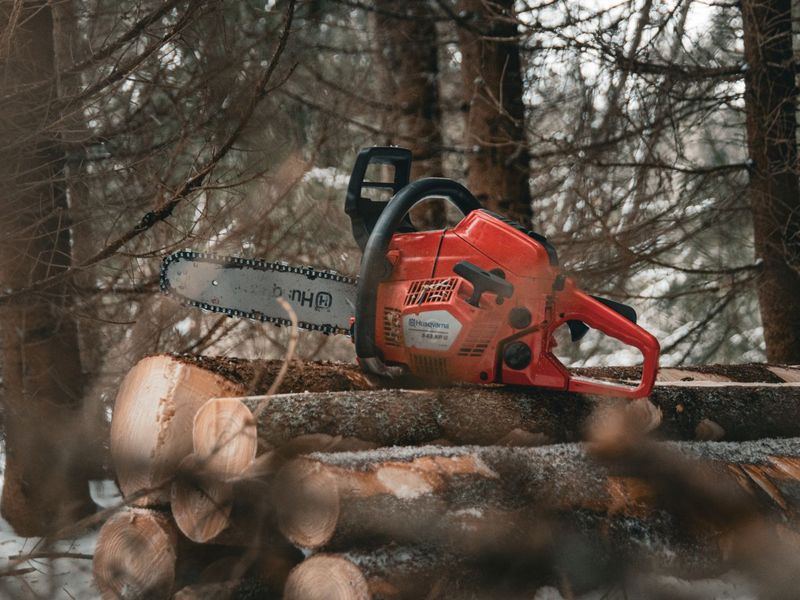 Tree removal job in the Powderhorn neighborhood of Minneapolis