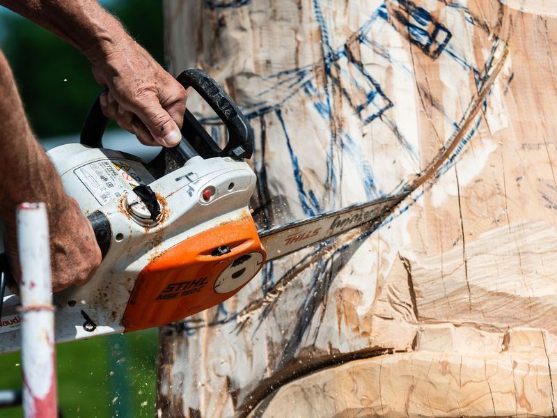 Tree removal job near Richfield, MN